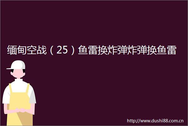 缅甸空战（25）鱼雷换换鱼雷