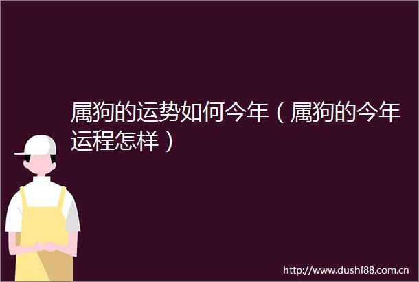 属狗的运势如何今年（属狗的今年运程怎样）