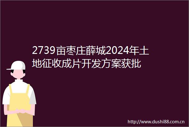 2739亩枣庄薛城2024年土地征收成片开发方案获批