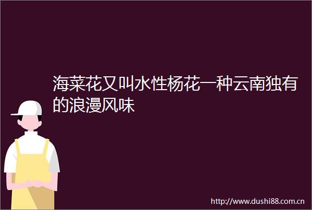 海菜花又叫水性杨花一种云南独有的浪漫风味