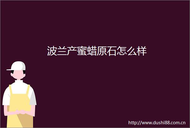波兰产蜜蜡原石怎么样