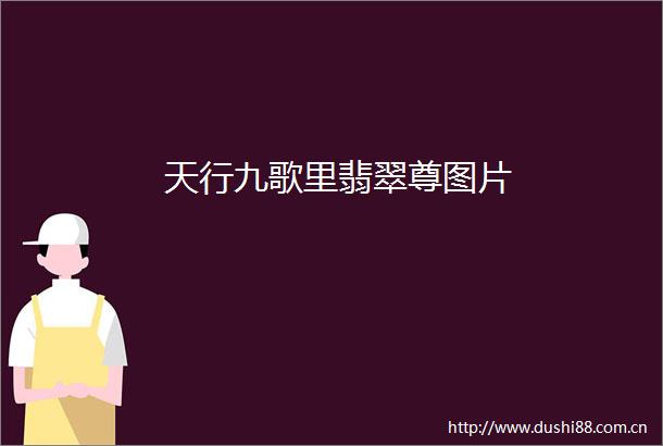 天行九歌里翡翠尊图片