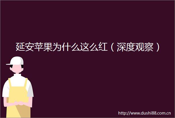 延安苹果为什么这么红（深度观察）
