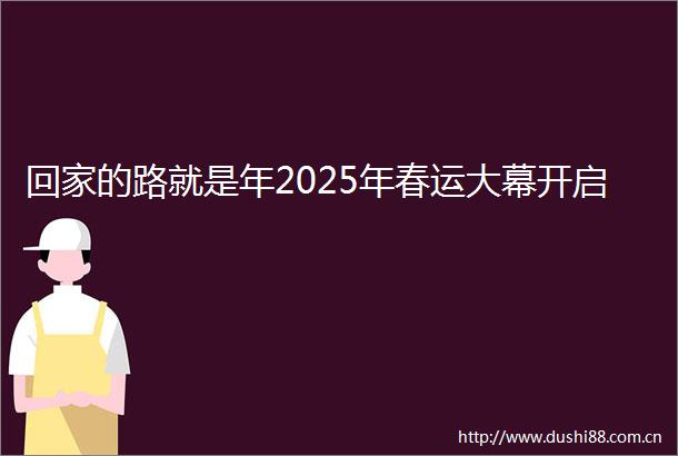 回家的路就是年2025年春运大幕开启