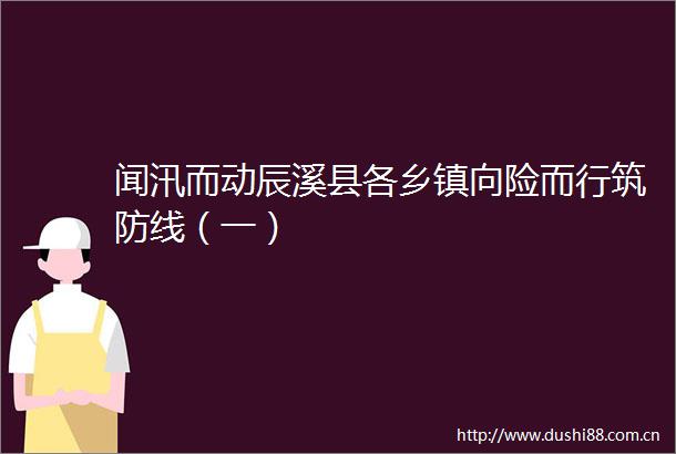 闻汛而动辰溪县各乡镇向险而行筑防线（一）