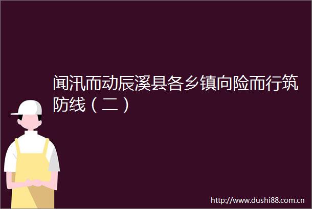 闻汛而动辰溪县各乡镇向险而行筑防线（二）
