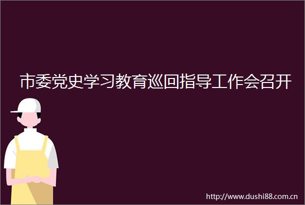 市委党史学习教育巡回指导工作会召开