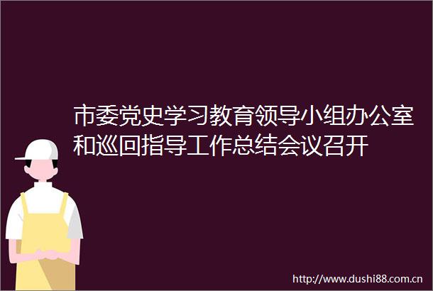 市委党史学习教育小组办公室和巡回指导工作总结会议召开