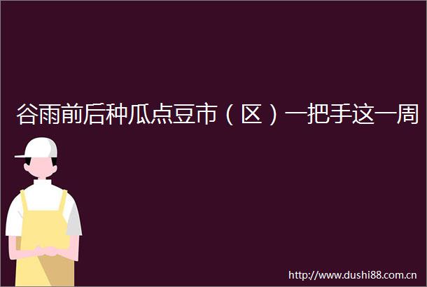 谷雨前后种瓜点豆市（区）一把手这一周