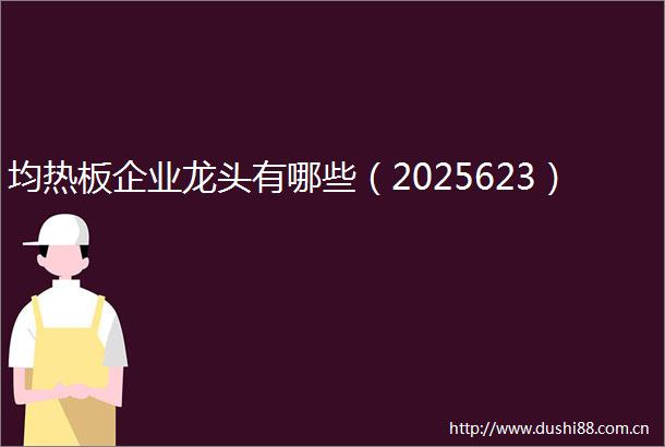 均热板企业龙头有哪些（2025623）