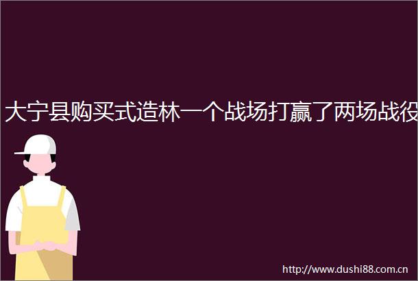 大宁县购买式造林一个战场打赢了两场战役