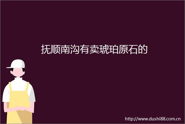 抚顺南沟有卖琥珀原石的