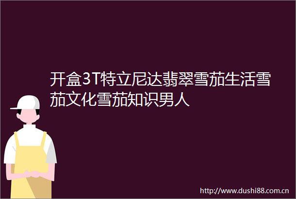 开盒3T特立尼达翡翠雪茄生活雪茄文化雪茄知识男人