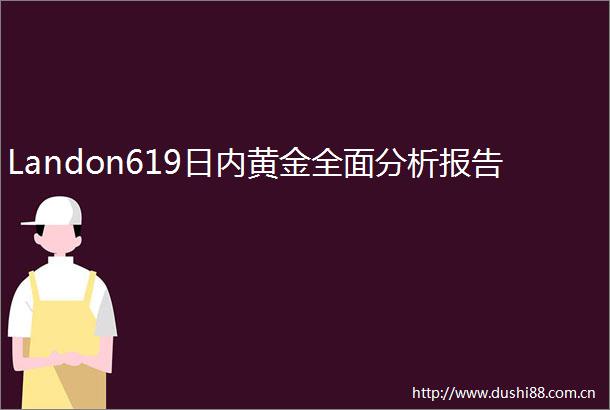Landon619日内黄金全面分析报告