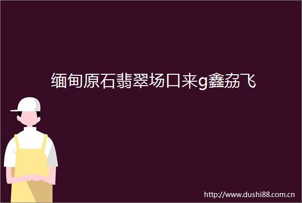缅甸原石翡翠场口来g鑫劦飞