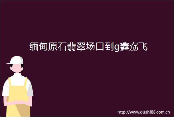 缅甸原石翡翠场口到g鑫劦飞