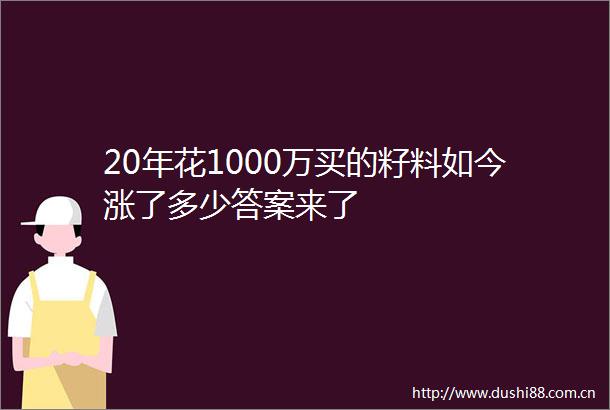 20年花1000万买的籽料如今涨了多少答案来了