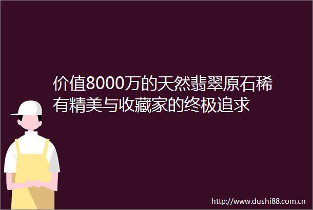 价值8000万的天然翡翠原石稀有精美与收藏家的终极追求