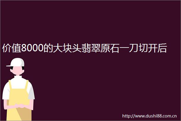 价值8000的大块头翡翠原石一刀切开后