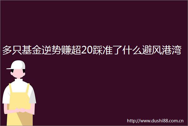 多只基金逆势赚超20踩准了什么避风港湾