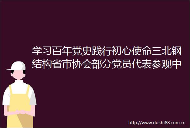 学习百年党史践行初心使命三北钢结构省市协会部分党员代表参观历史展览馆
