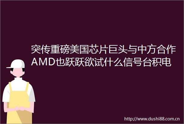 突传重磅美国芯片巨头与中方合作AMD也跃跃欲试什么信号台积电重大项目遭遇波折