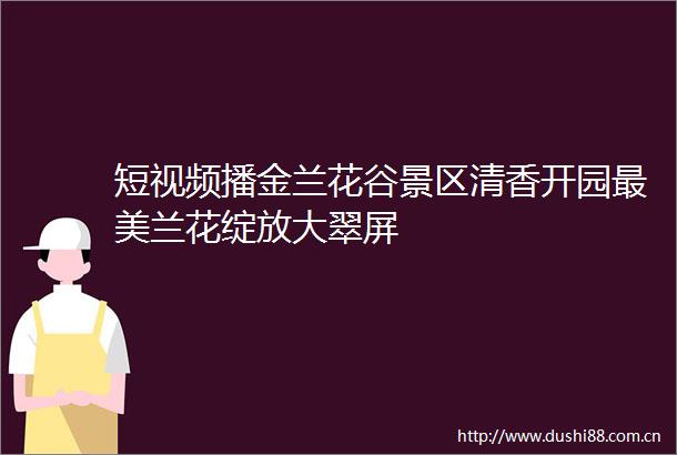 短视频播金兰花谷景区清香开园最美兰花绽放大翠屏