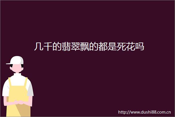 几千的翡翠飘的都是死花吗