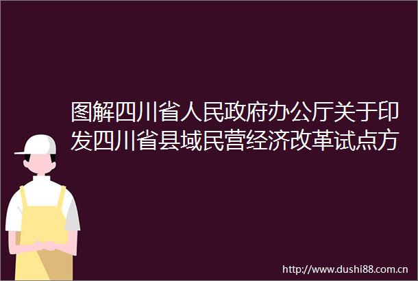 图解四川省办公厅关于印发四川省县域民营经济改革试点方案的通知