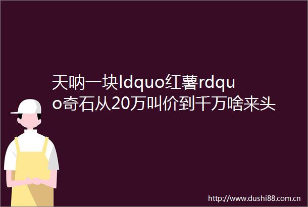 天呐一块ldquo红薯rdquo奇石从20万叫价到千万啥来头