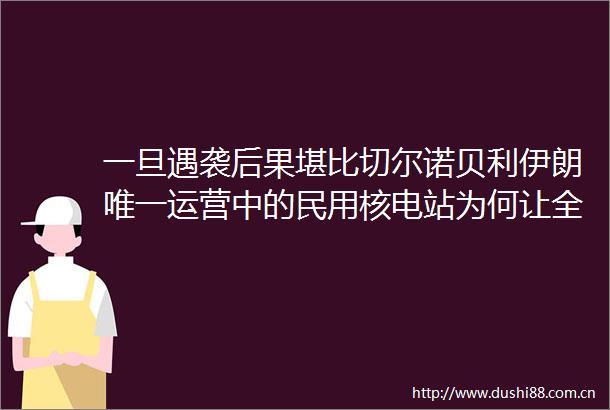 一旦遇袭后果堪比切尔诺贝利伊朗唯一运营中的民用核电站为何让全球担心