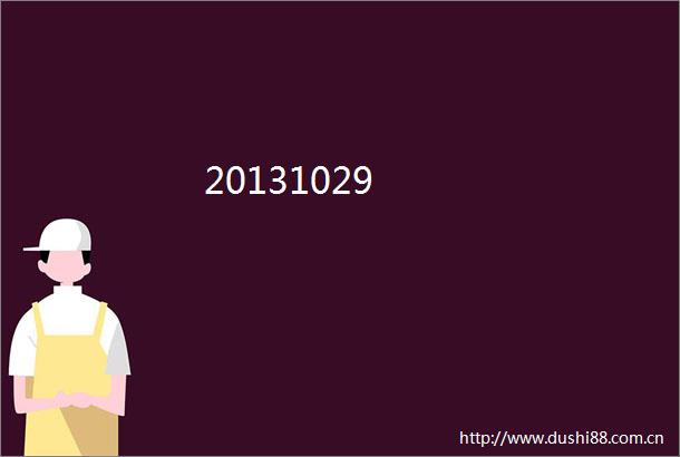 20131029