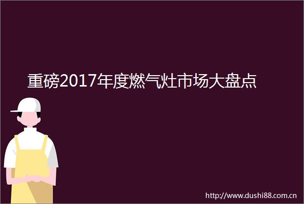 重磅2017年度燃气灶市场大盘点