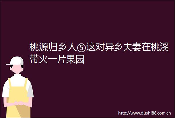 桃源归乡人⑤这对异乡夫妻在桃溪带火一片果园