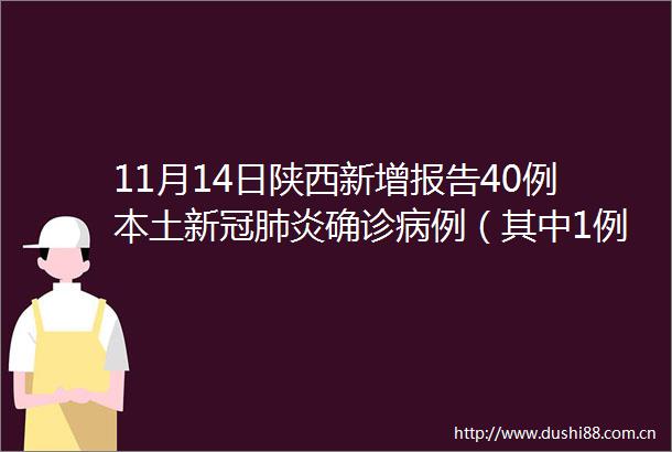 11月14日陕西新增报告40例本土新冠肺炎确诊病例（其中1例为无症状转确诊）新增187例本土无症状感染者