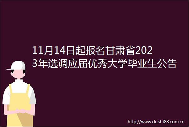 11月14日起报名甘肃省2023年选调应届优秀大学毕业生公告发布