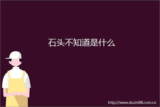 石头不知道是什么