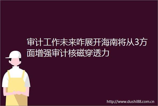 审计工作未来咋展开海南将从3方面增强审计核磁穿透力