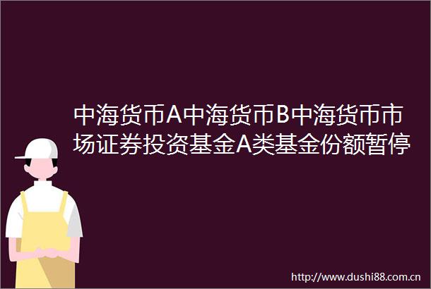 中海货币A中海货币B中海货币市场证券投资基金A类基金份额暂停代销机构大额申购含大额转换转入定期定额投资业务公告