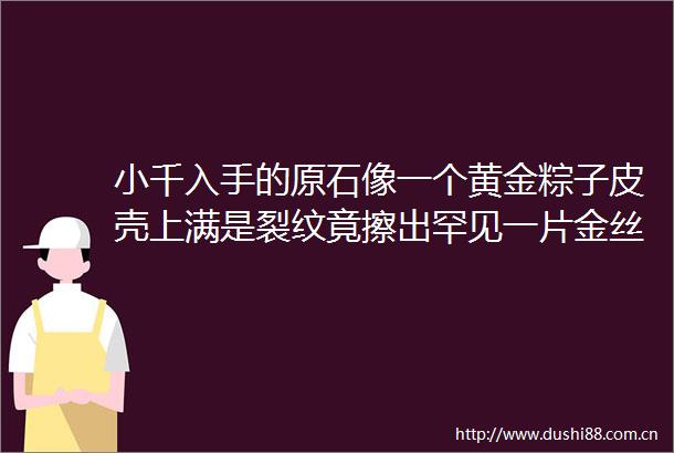 小千入手的原石像一个黄金粽子皮壳上满是裂纹竟擦出罕见一片金丝绿翡翠