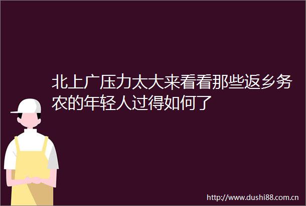 北上广压力太大来看看那些返乡务农的年轻人过得如何了