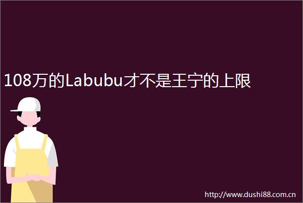 108万的Labubu才不是王宁的上限