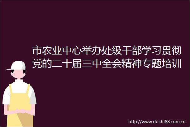 市农业中心举办处级学习贯彻党的二十届三中全会精神专题培训班