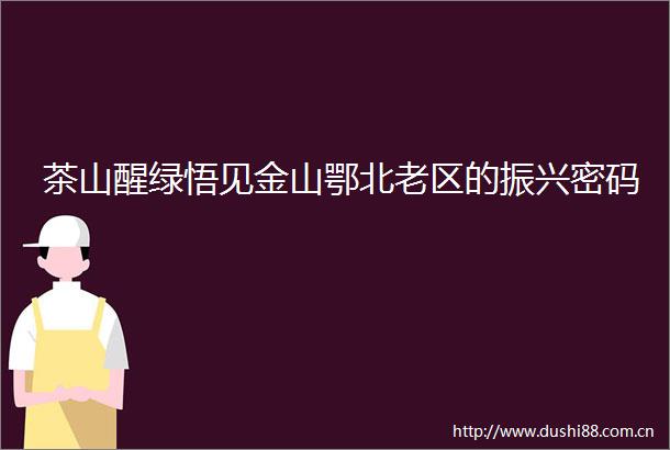 茶山醒绿悟见金山鄂北老区的振兴密码