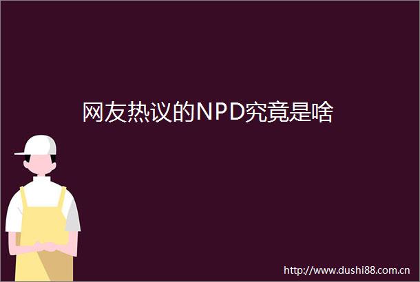 网友热议的NPD究竟是啥