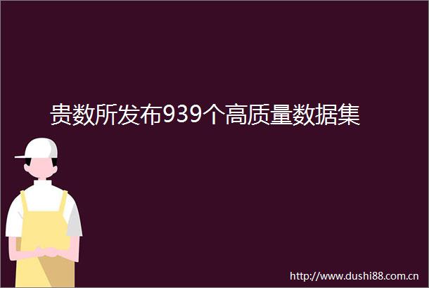 贵数所发布939个高质量数据集