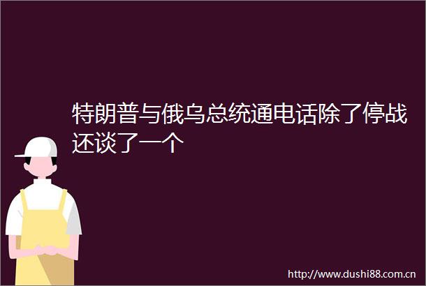 特朗普与俄乌总统通电话除了停战还谈了一个