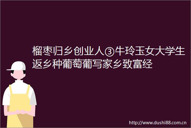 榴枣归乡创业人③牛玲玉女大学生返乡种葡萄葡写家乡致富经