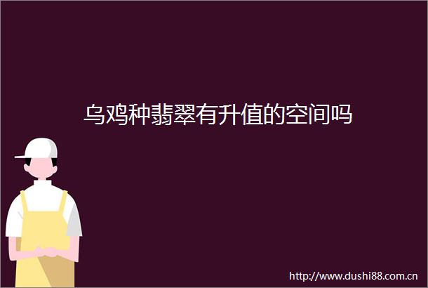 乌鸡种翡翠有升值的空间吗