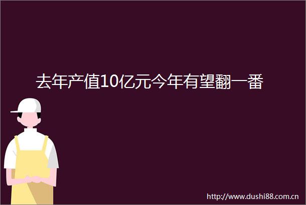 去年产值10亿元今年有望翻一番